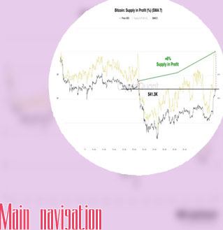 Americans billion in bitcoin profits analysis