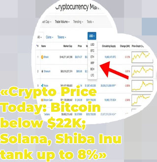 Bitcoin price coin market cap