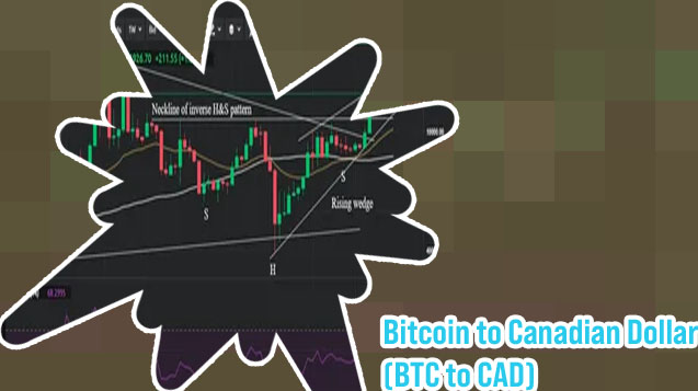 Bitcoin price live cad