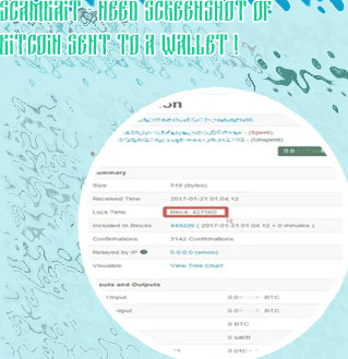 Bitcoin transaction screenshot