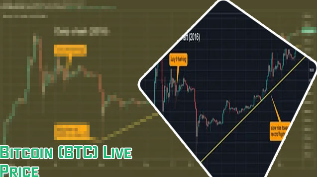 Bitcoin value chart live