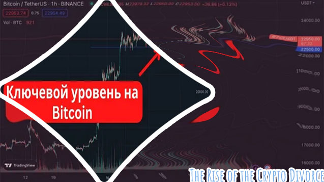 Crypto rise