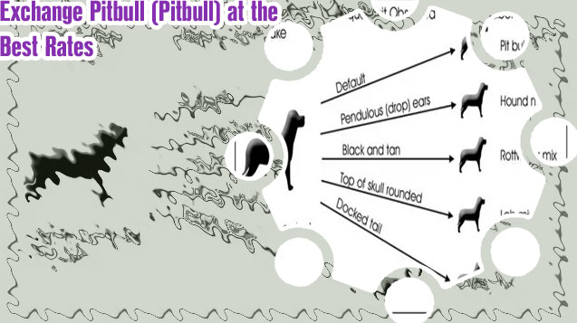 Pitbull crypto chart