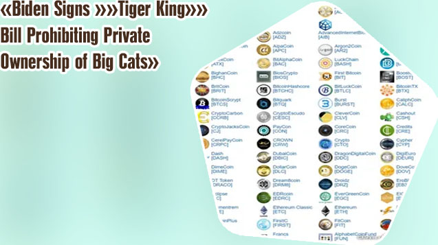 Where to buy tiger king coin crypto